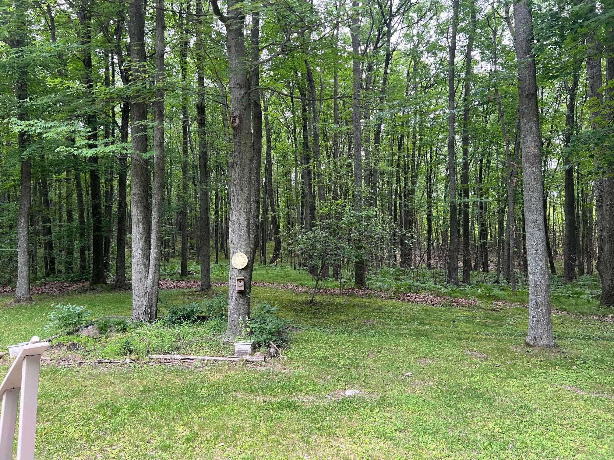 2300 Cedar Road Harrison, MI 48625 - Photo 20 of 23 Gallery Image 20