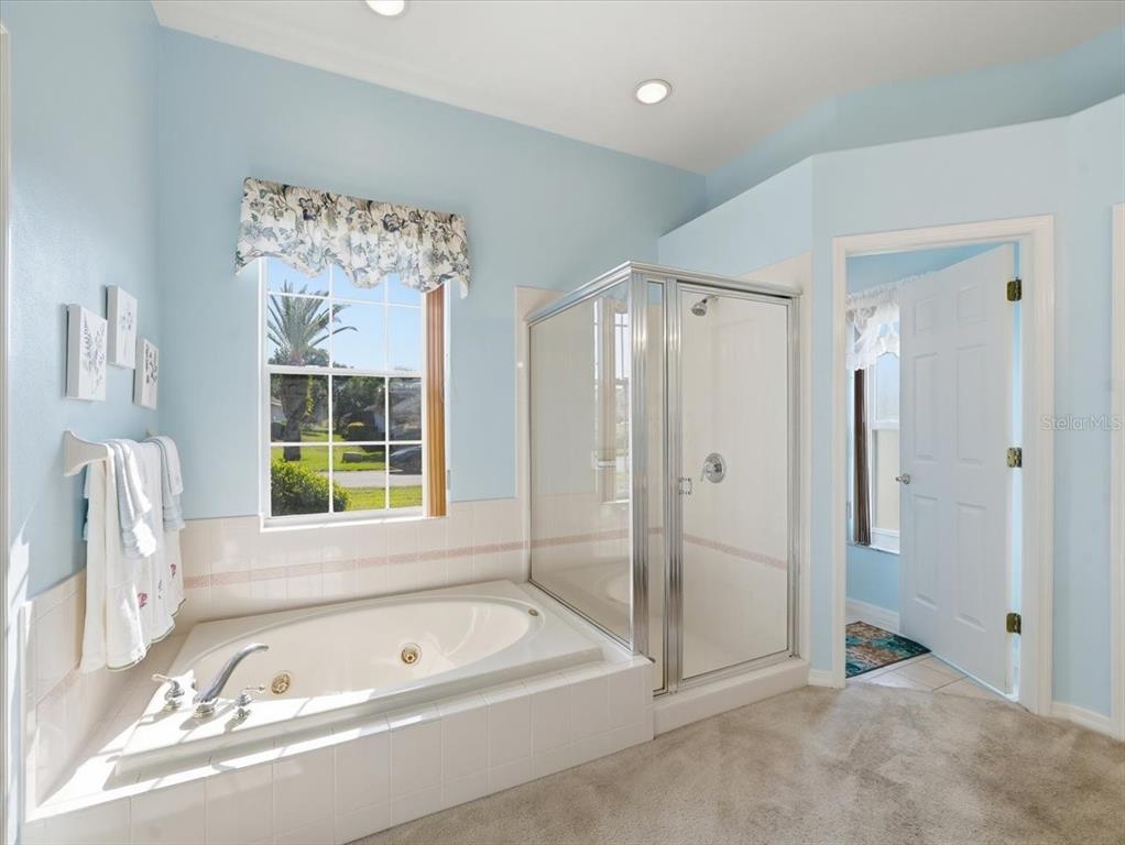 9311 Butler Boulevard Weeki Wachee, FL 34613 - Photo 46 of 60 a bathroom with a tub a sink and a large mirror
