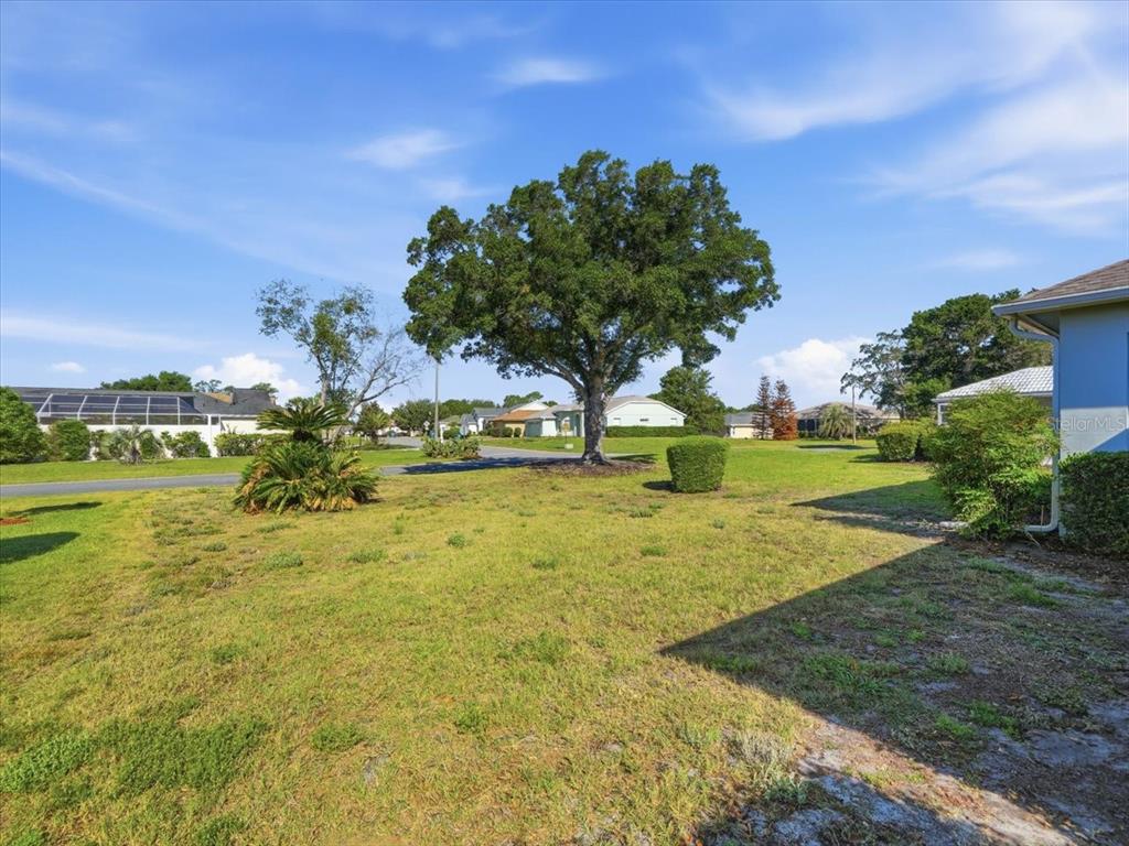 9311 Butler Boulevard Weeki Wachee, FL 34613 - Photo 59 of 60 a view of a yard with an outdoor space