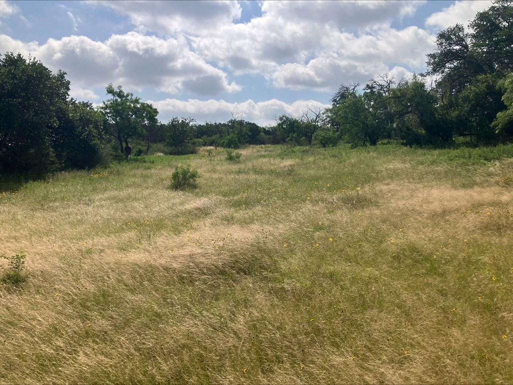 4605 West Ranch Road Mason, TX 76856 - Photo 16 of 26