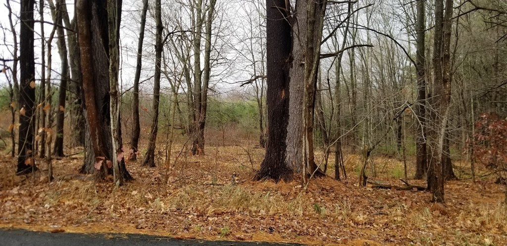 Lot Old Old Wilson Road Northampton, MA 01062 - Photo 3 of 4 Gallery Image 3