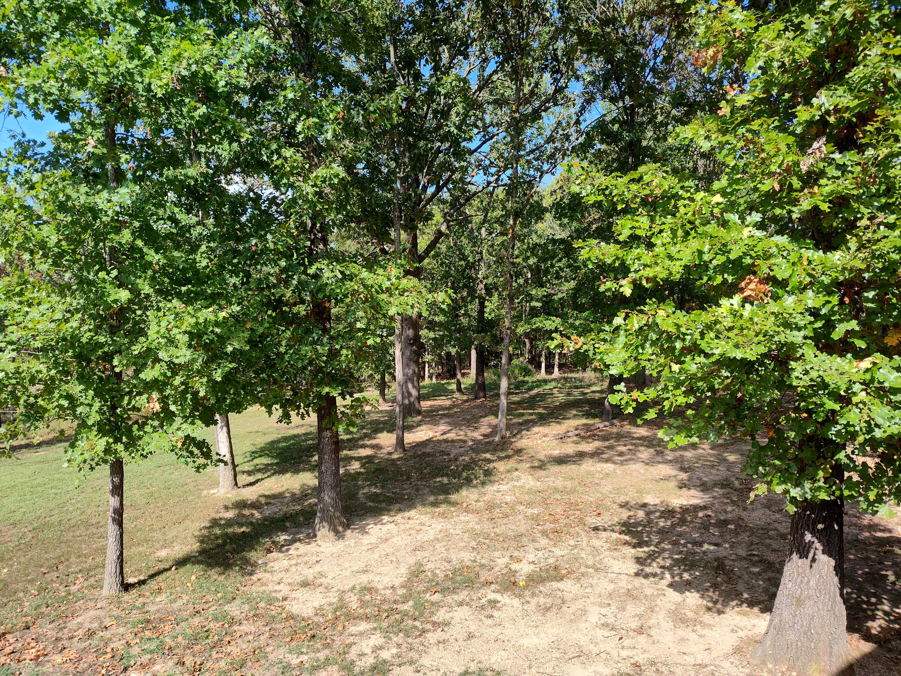 2373 East 540th Road Buffalo, MO 65622 - Photo 38 of 67 View