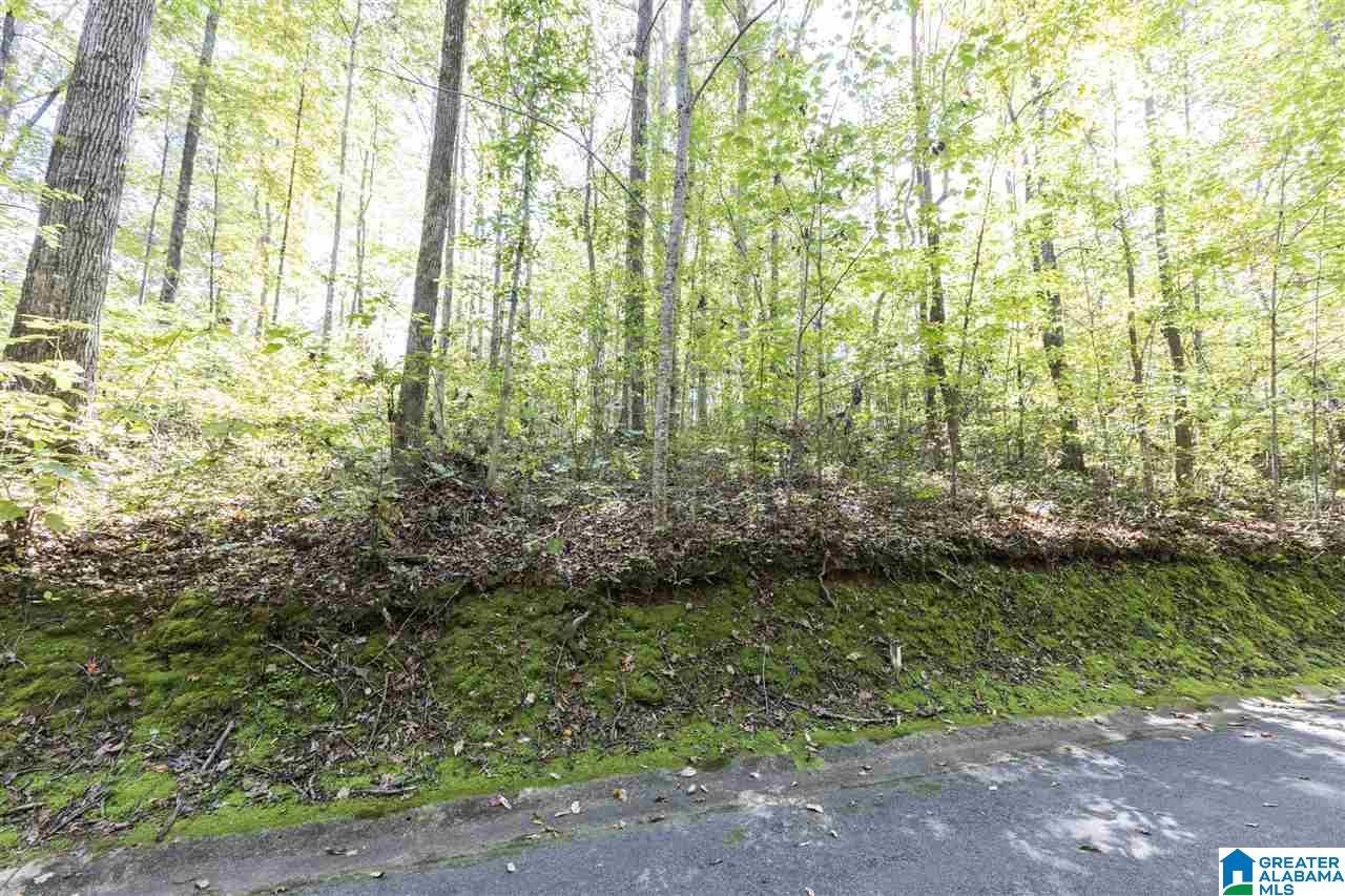 4 South Hollow Road, Unit 4 Hayden, AL 35079 - Photo 8 of 34