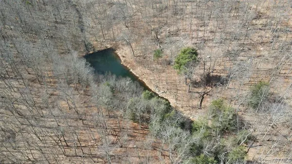 a view of lake with a large trees