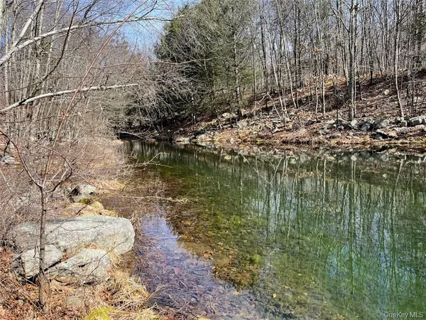 a view of a forest with a lake