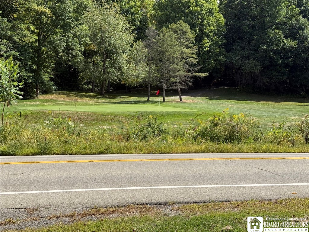 137 Conewango Road Randolph, NY 14772 - Photo 8 of 30