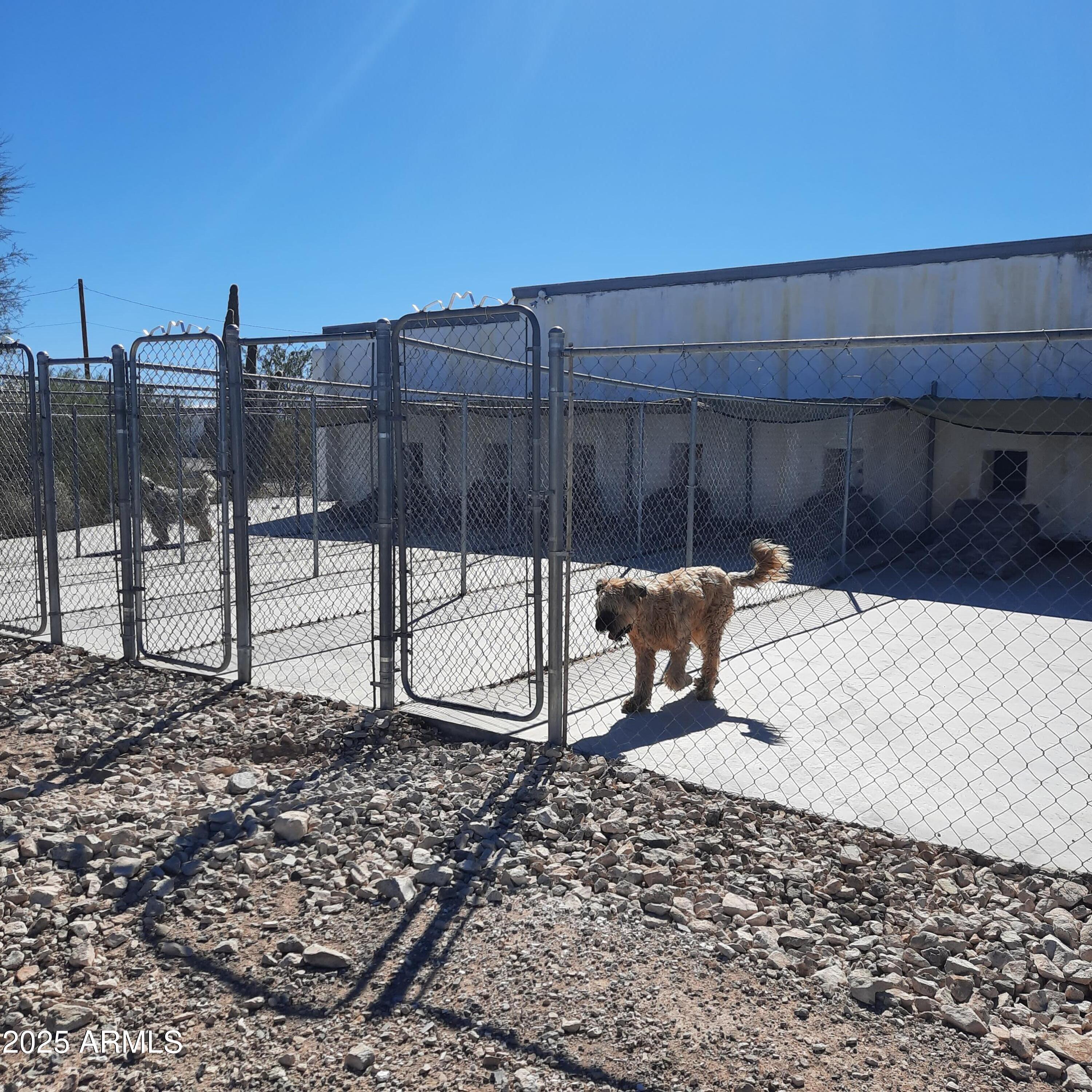 2150 North Rosser Road Ajo, AZ 85321 - Photo 8 of 16 Large Kennel Outdoor runs