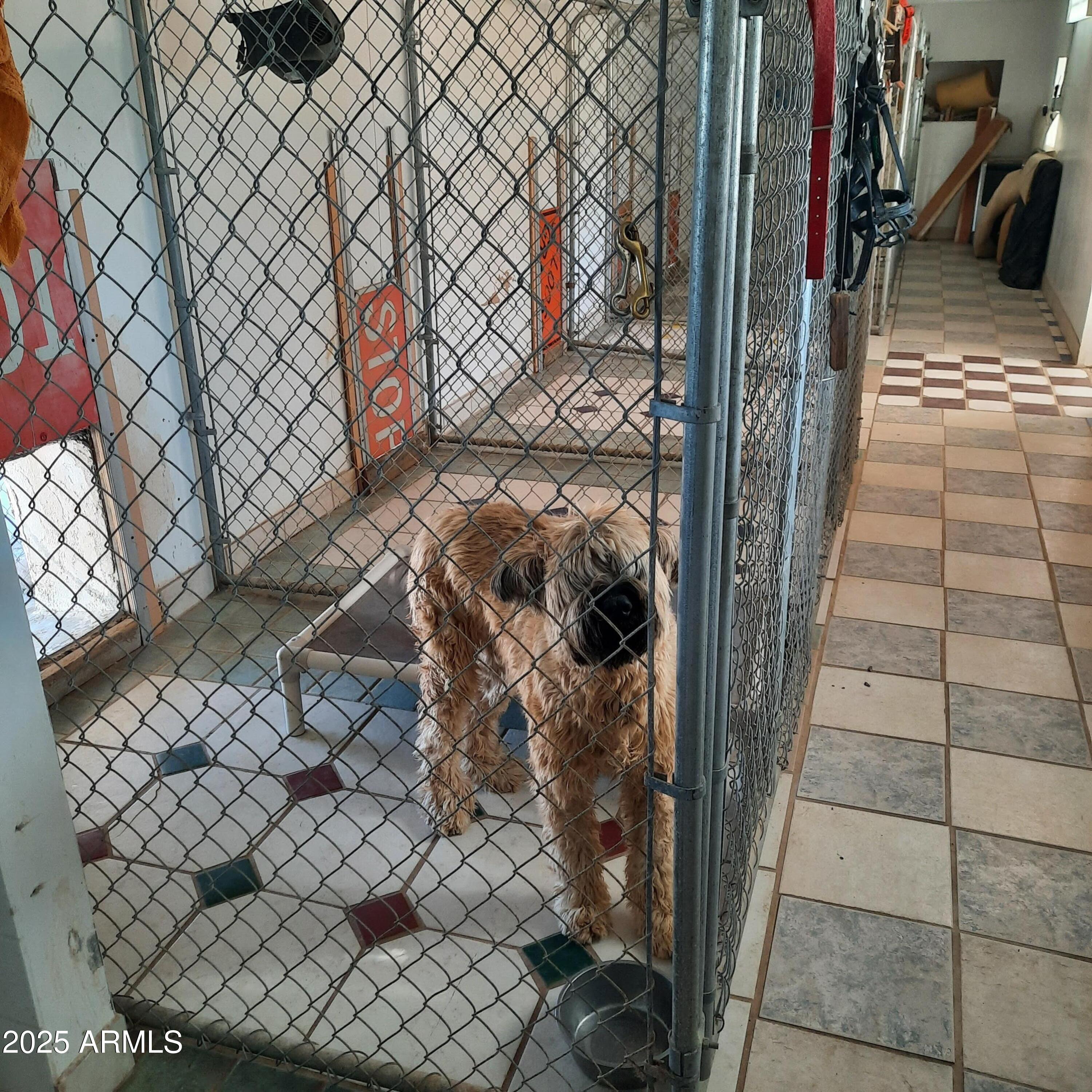 2150 North Rosser Road Ajo, AZ 85321 - Photo 9 of 16 Large Kennel