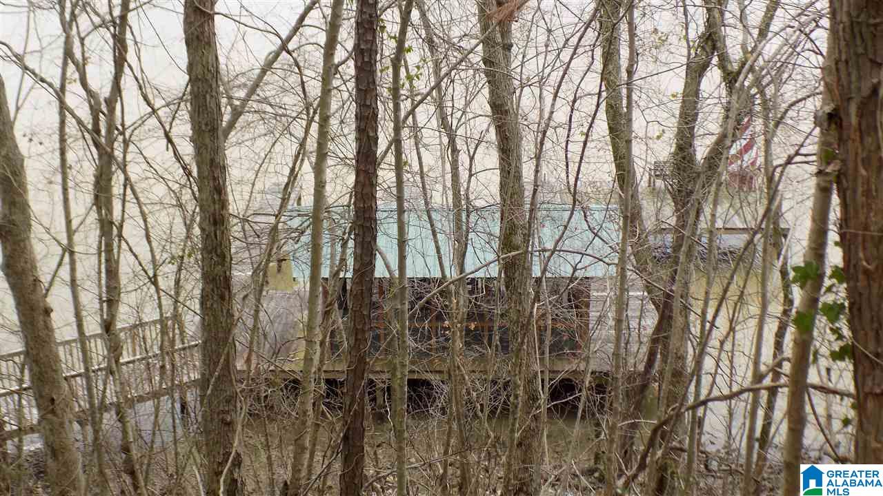Xx Lister Ferry Road, Unit XX Rainbow City, AL 35906 - Photo 11 of 15