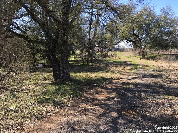 a view of a yard with a tree