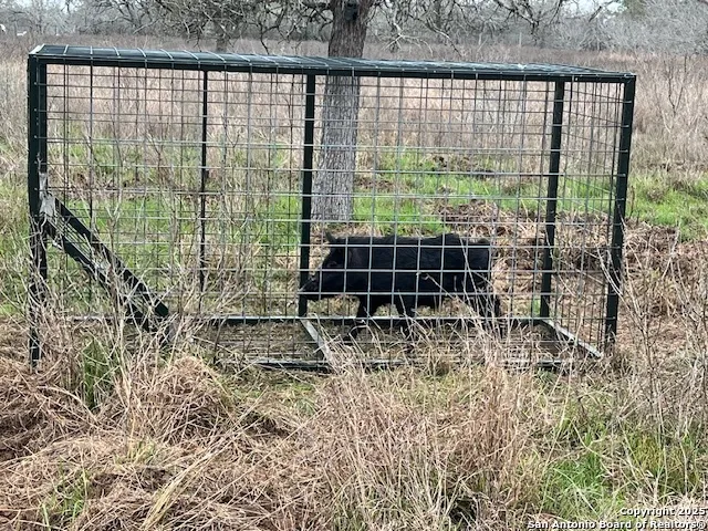 $235,000 | 606 County Road 222, Nixon, TX 78140