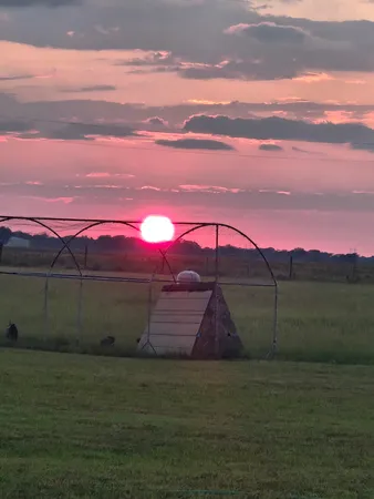 $215,000 | 842 Wischkaemper Road, Victoria, TX 77905