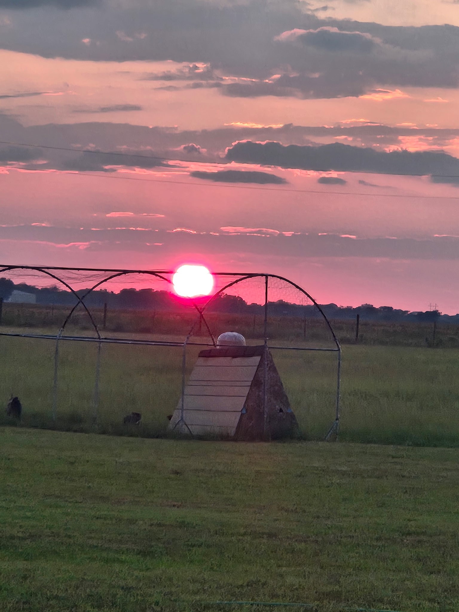 842 Wischkaemper Road Victoria, TX 77905 - Photo 19 of 21