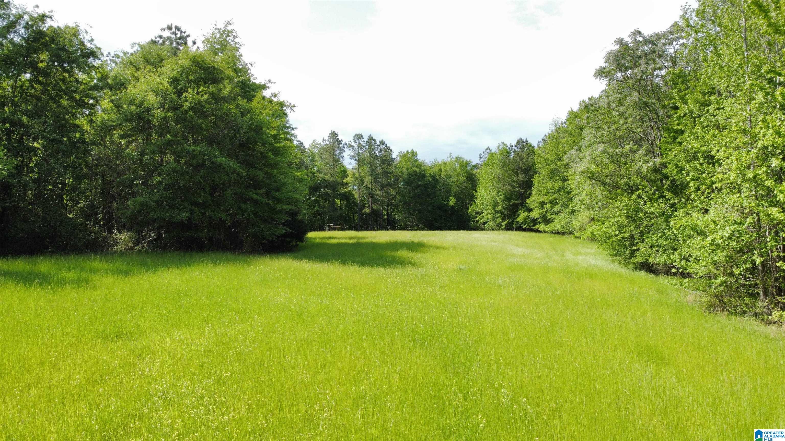 0 County Road 44 Linden, AL 36748 - Photo 2 of 48