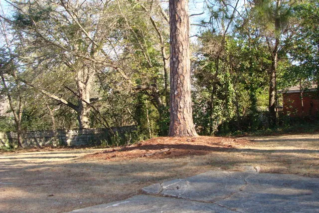 $895 | 3816 17th Avenue, Columbus, GA 31904