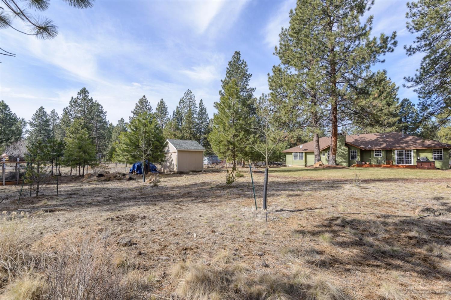 60030 Navajo Road Bend, OR 97702 - Photo 20 of 20 a tree in the middle of a yard