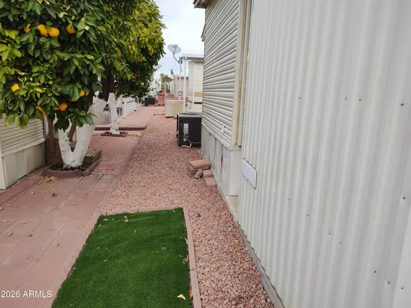a view of a backyard with potted plants