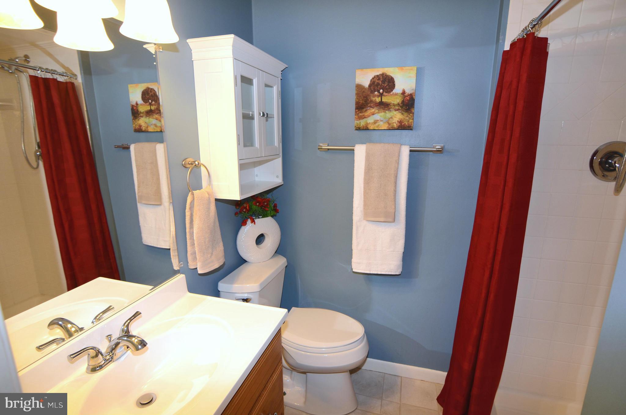 3750 Patuxent Manor Road Davidsonville, MD 21035 - Photo 18 of 30 Bath (Master)