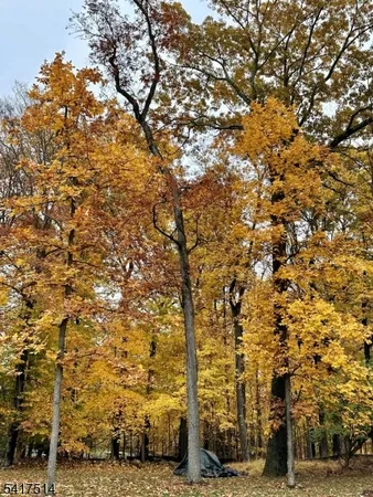 $2,375,000 | 5 Buddy Lane, Morristown, NJ 07960