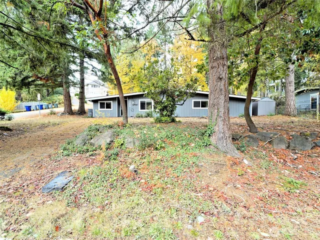 front view of a house with a large tree