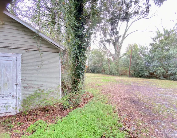 a view of large trees with yard
