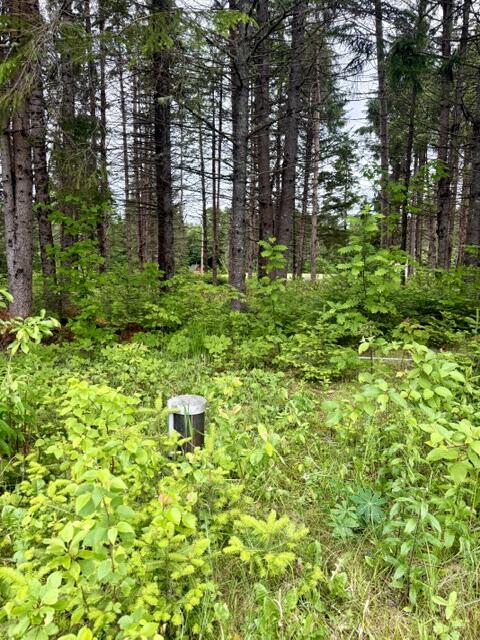 1337 East Plantation Road Blaine, ME 04734 - Photo 32 of 43 IMG_1099