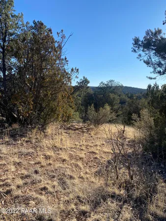 $9,650 | 51824 Corofro Road, Seligman, AZ 86337