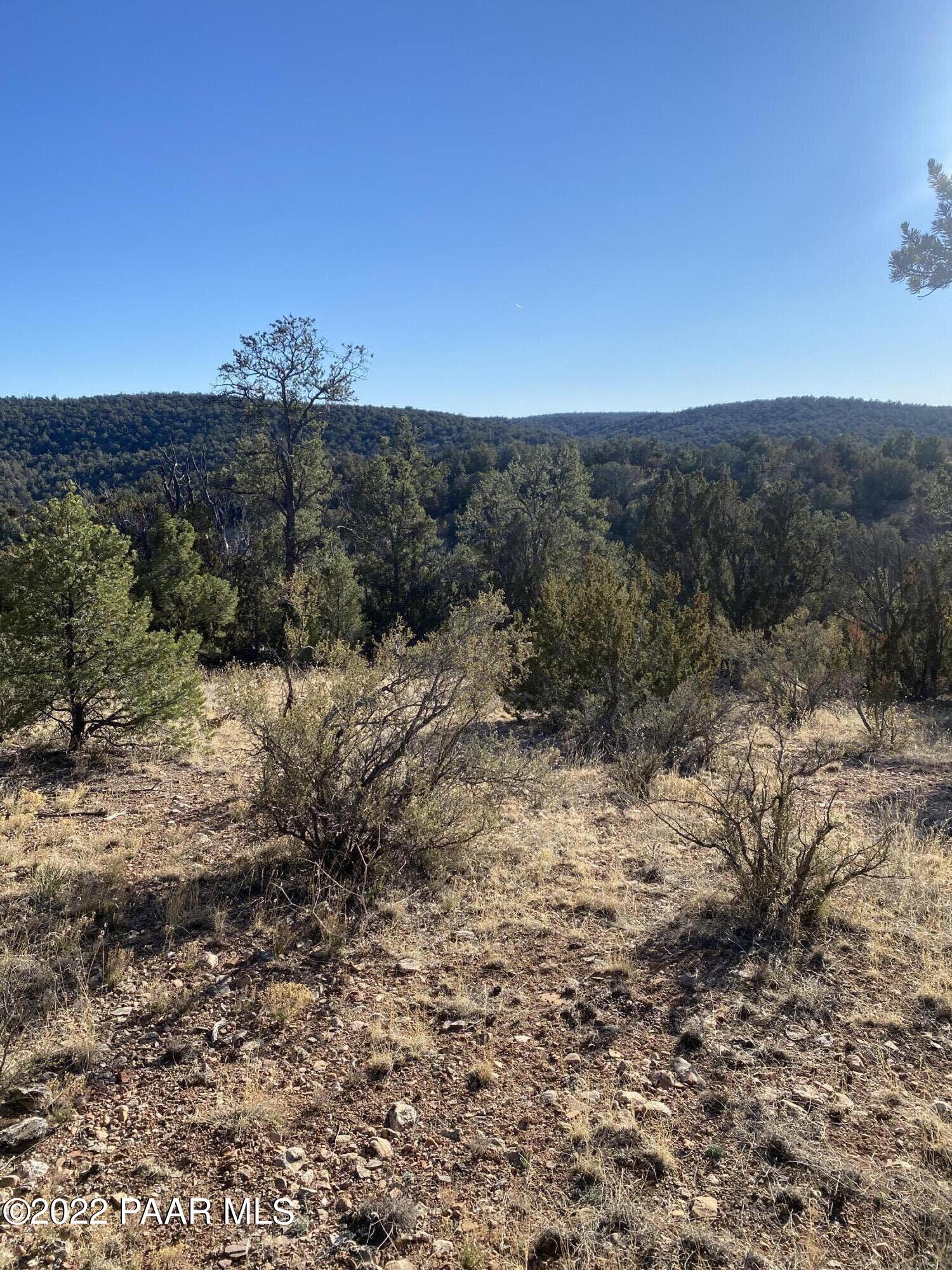 51824 Corofro Road Seligman, AZ 86337 - Photo 3 of 10 IMG-6375