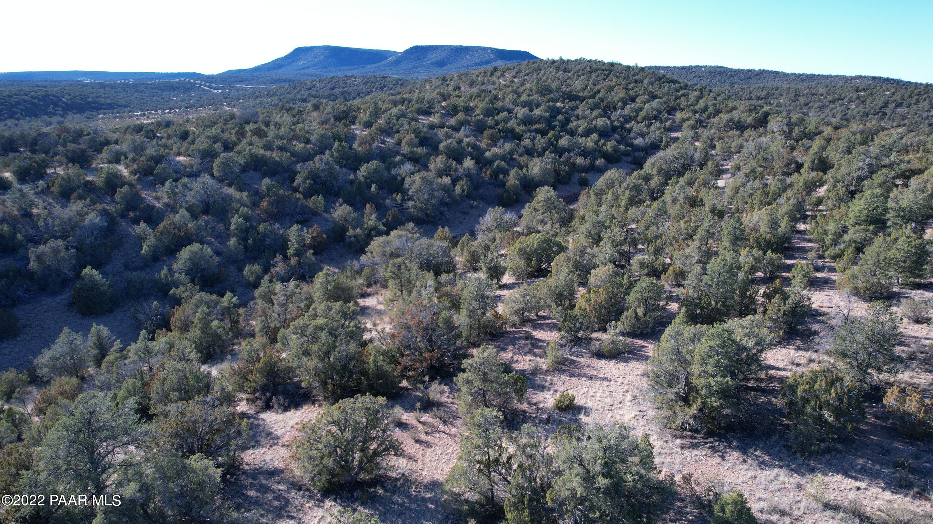 51824 Corofro Road Seligman, AZ 86337 - Photo 7 of 10 DJI_0188