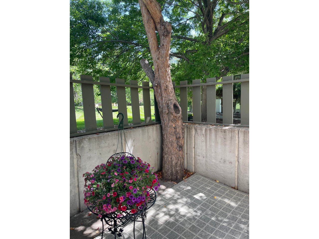 8060 Niwot Road, Unit 7E Niwot, CO 80503 - Photo 15 of 22 Private patio