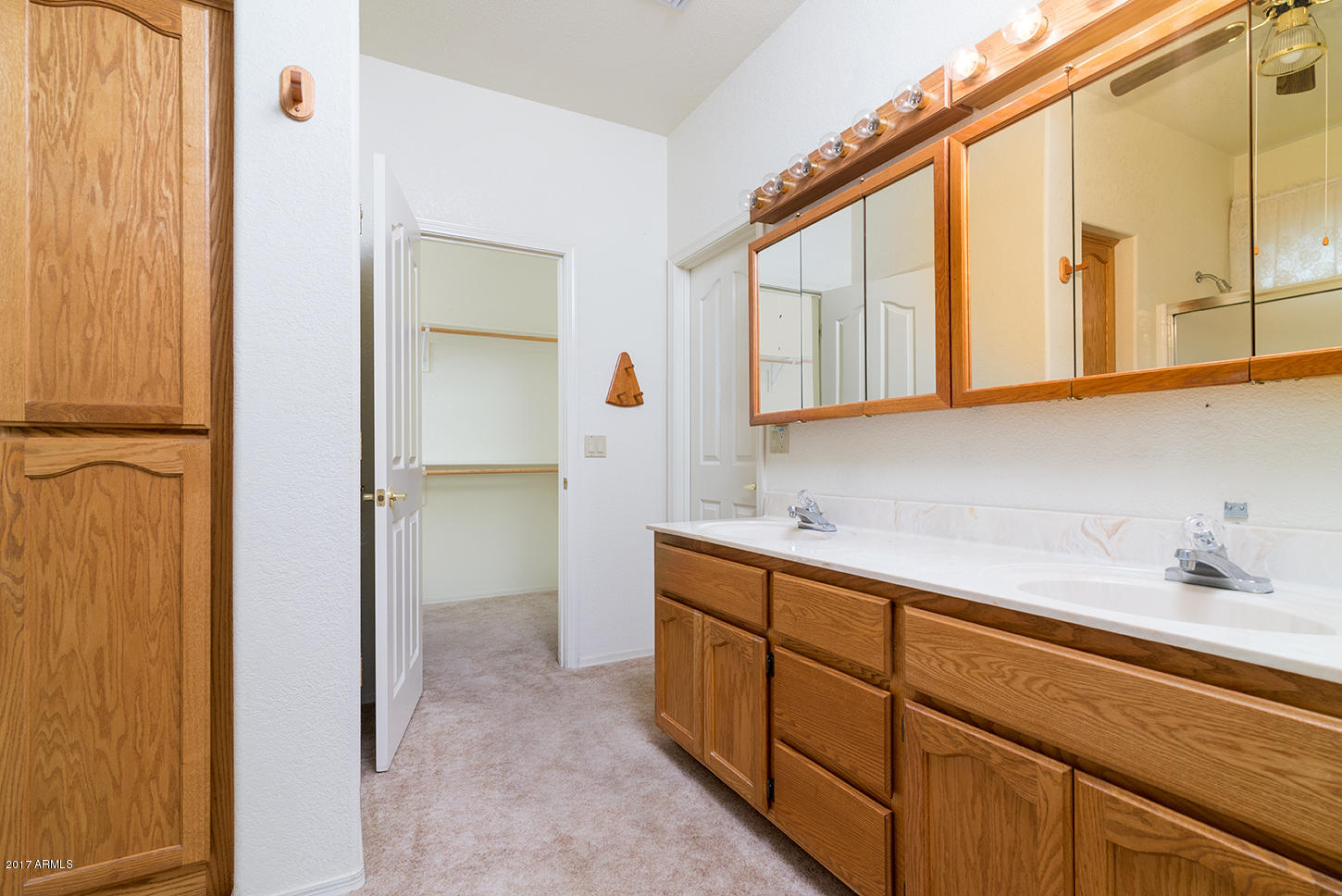 715 South Moon Road Apache Junction, AZ 85119 - Photo 10 of 30 DSC_0061