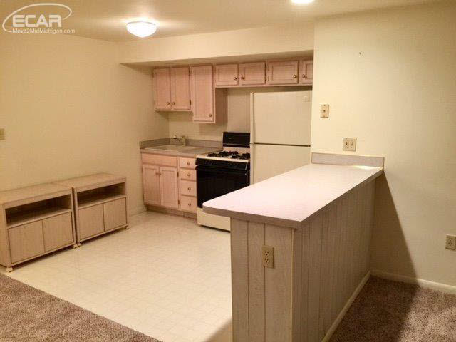 3430 Luce Road Flushing, MI 48433 - Photo 27 of 29 21401486-26.JPG