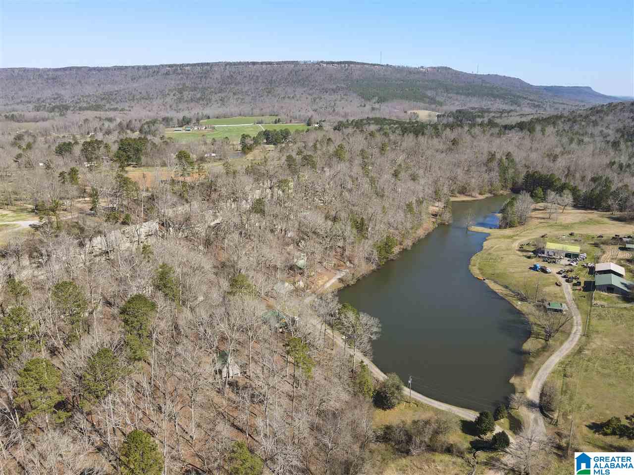 39080 Highway 231 Steele, AL 35987 - Photo 29 of 37