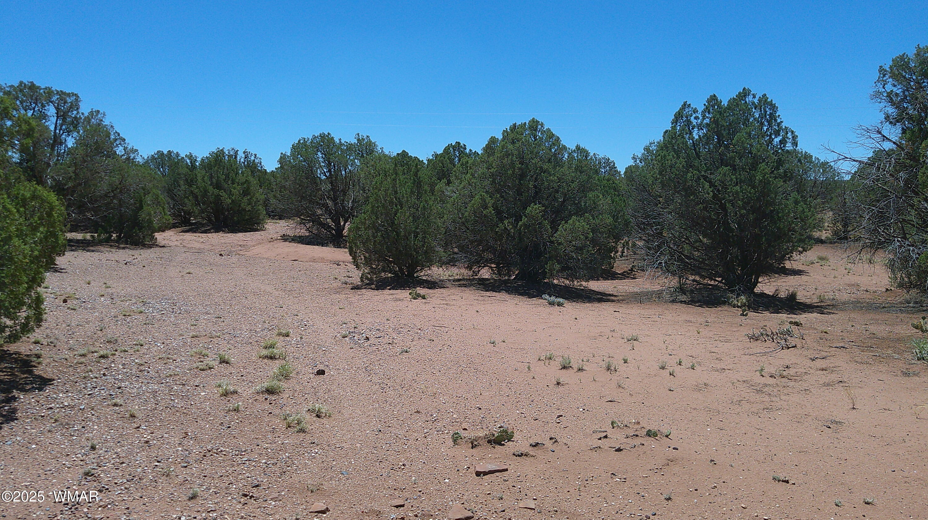 4409 East Pinto Road Snowflake, AZ 85937 - Photo 1 of 16 Primary