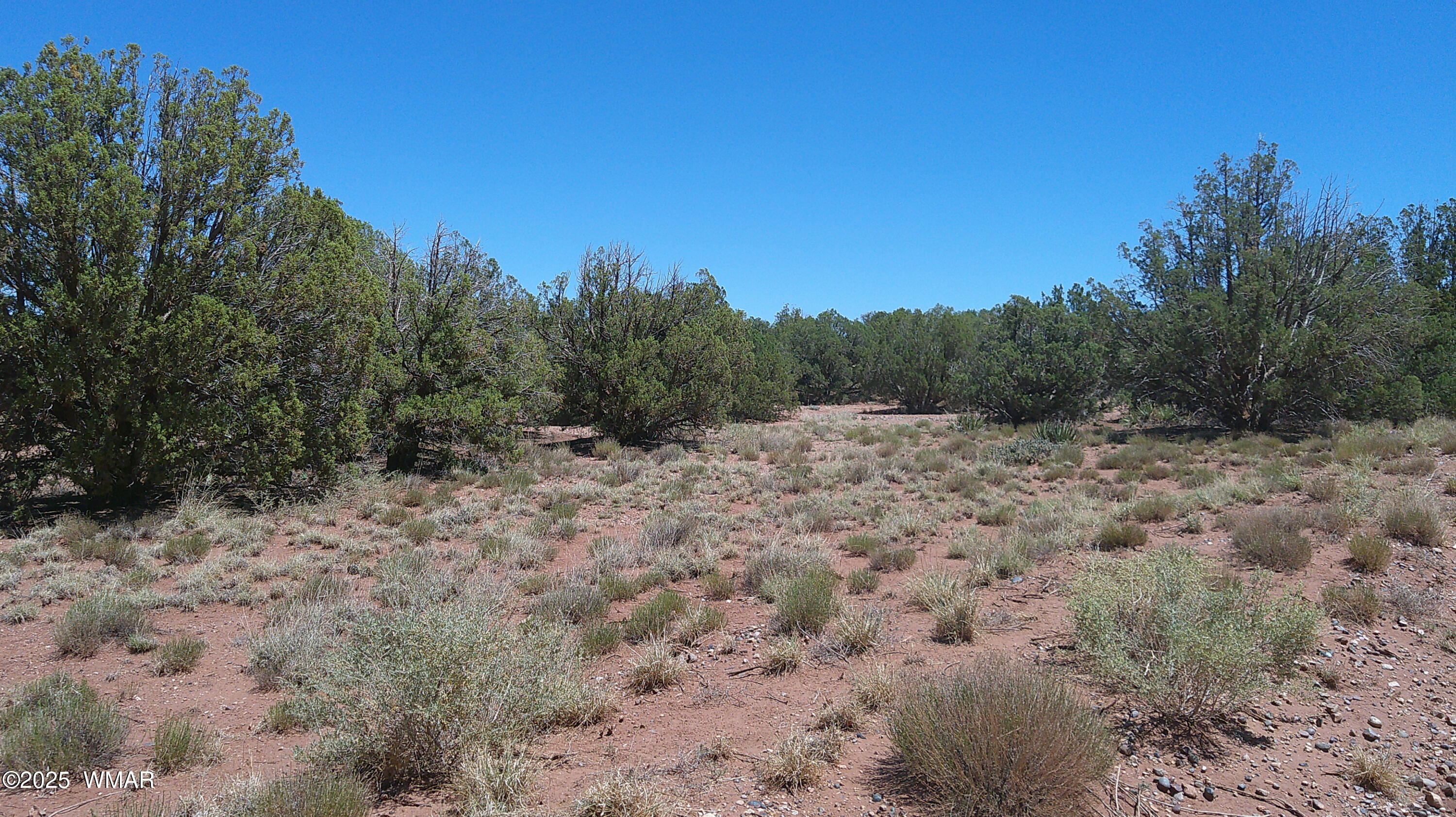 4409 East Pinto Road Snowflake, AZ 85937 - Photo 11 of 16 DSCF0006