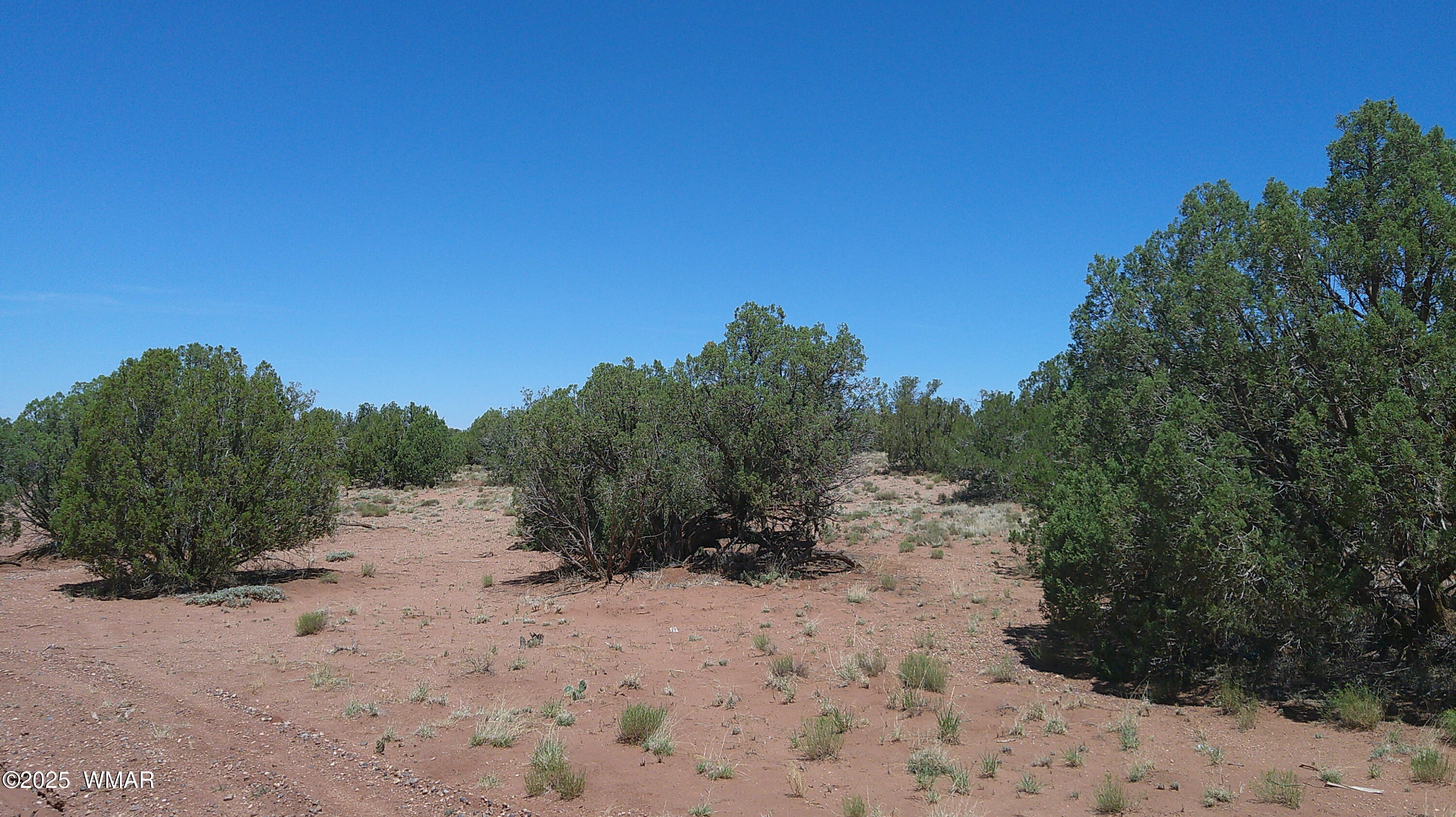 4409 East Pinto Road Snowflake, AZ 85937 - Photo 12 of 16 DSCF0007