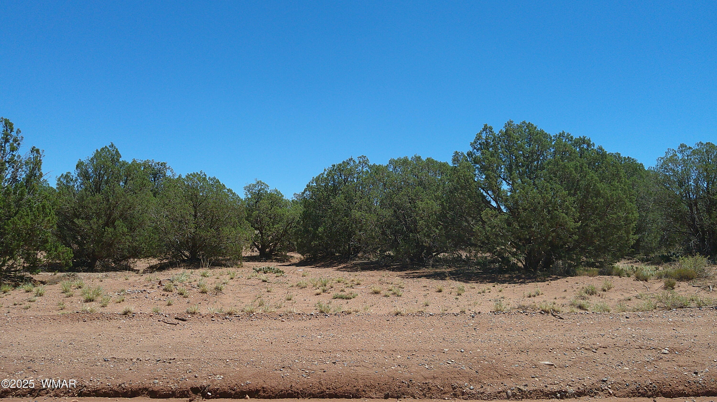 4409 East Pinto Road Snowflake, AZ 85937 - Photo 16 of 16 DSCF0012