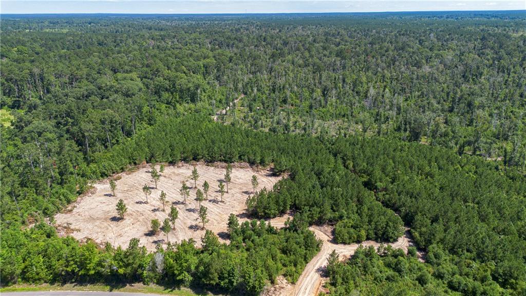 Lot 3 Mile Road Pitkin, LA 70656 - Photo 2 of 6 Gallery Image 2