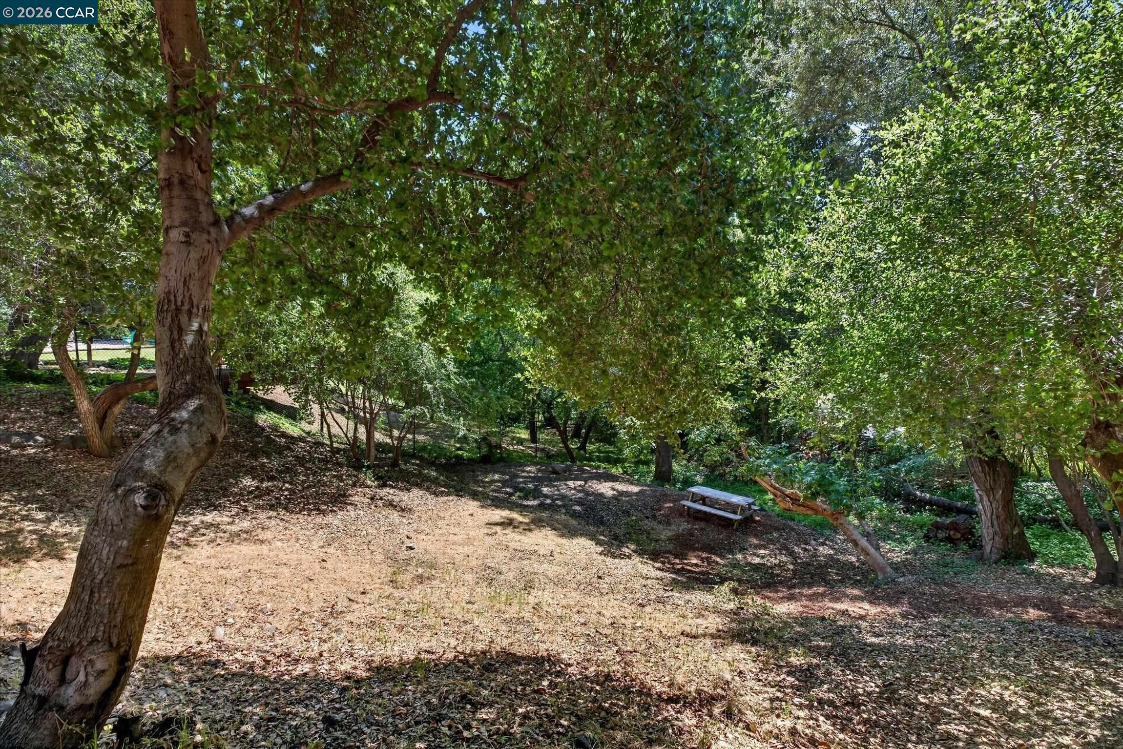 43 Monte Vista Road Orinda, CA 94563 - Photo 37 of 46