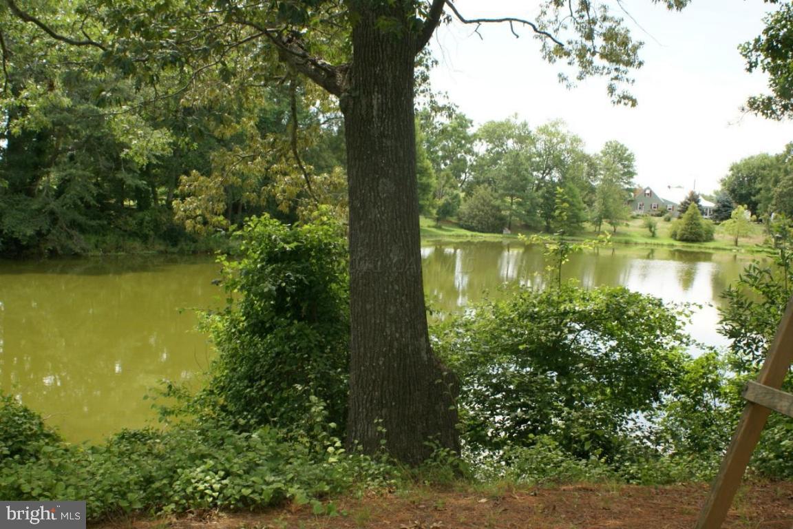 3535 Redden Ferry Road Eden, MD 21822 - Photo 23 of 24 a view of lake with green space
