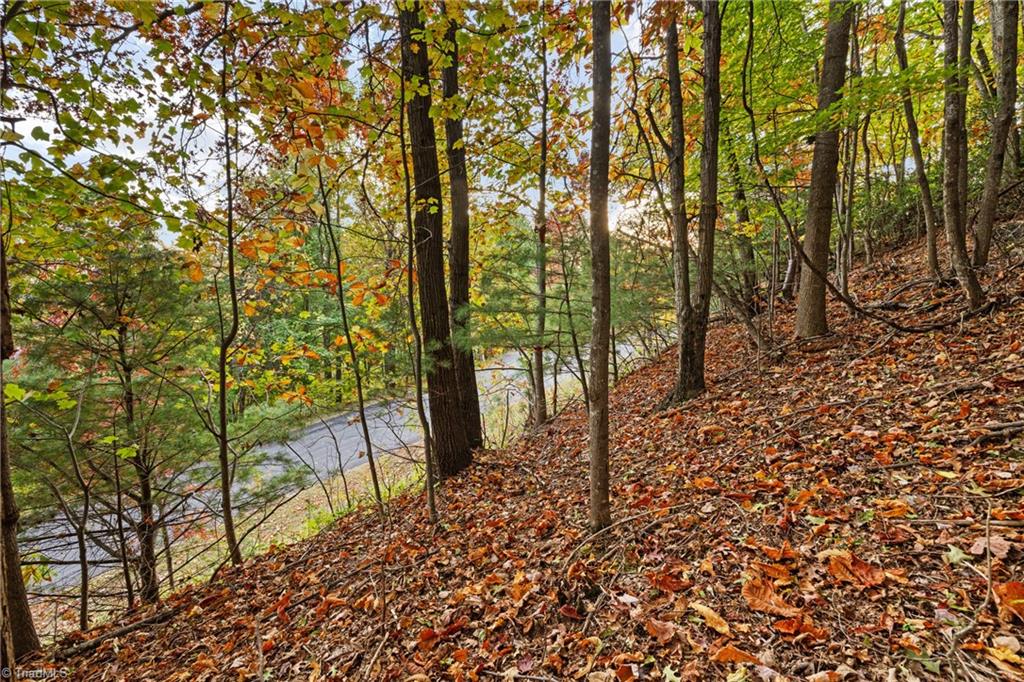 Lot 13 Ivy Ridge Road Deep Gap, NC 28618 - Photo 1 of 15 Gallery Image 1