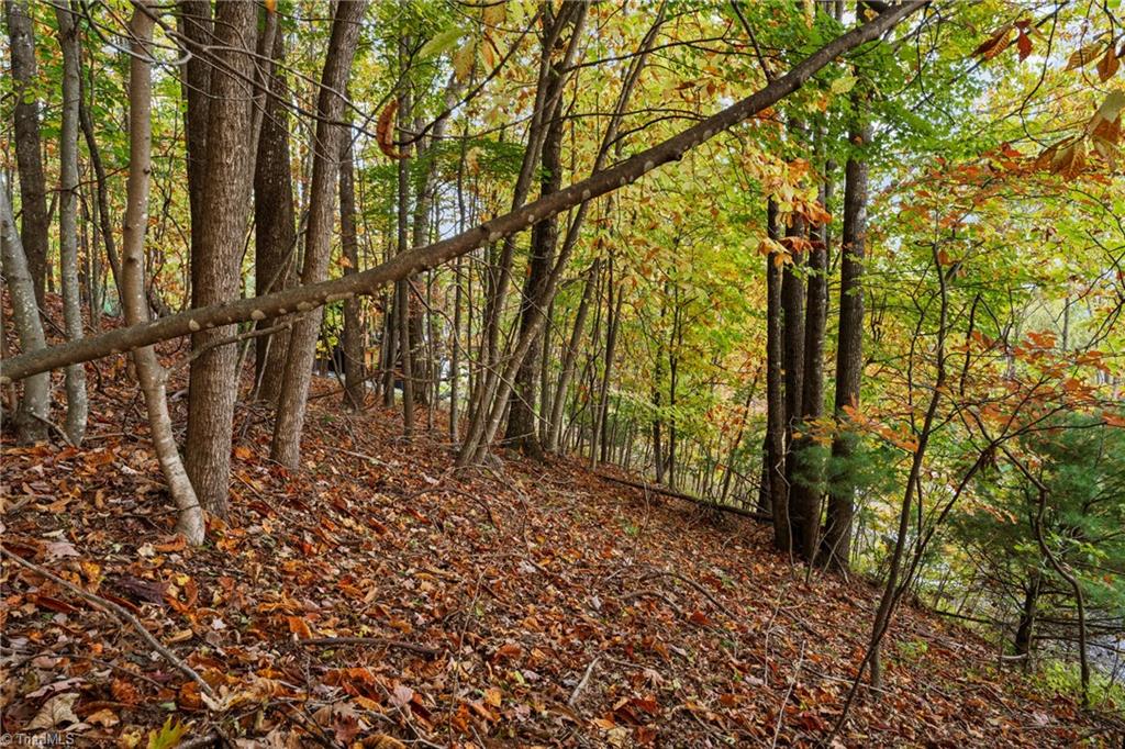 Lot 13 Ivy Ridge Road Deep Gap, NC 28618 - Photo 11 of 15 Gallery Image 11