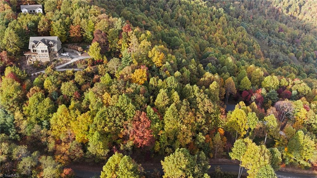 Lot 13 Ivy Ridge Road Deep Gap, NC 28618 - Photo 13 of 15 Gallery Image 13
