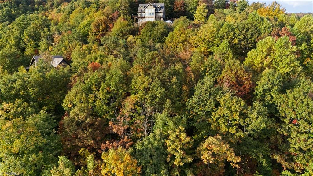 Lot 13 Ivy Ridge Road Deep Gap, NC 28618 - Photo 14 of 15 Gallery Image 14
