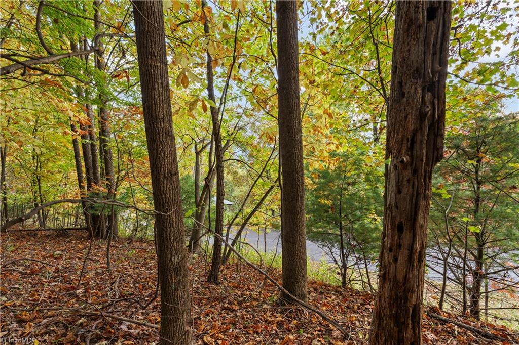 Lot 13 Ivy Ridge Road Deep Gap, NC 28618 - Photo 2 of 15 Gallery Image 2