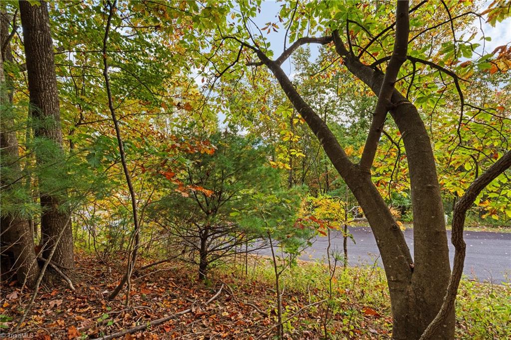 Lot 13 Ivy Ridge Road Deep Gap, NC 28618 - Photo 3 of 15 Gallery Image 3