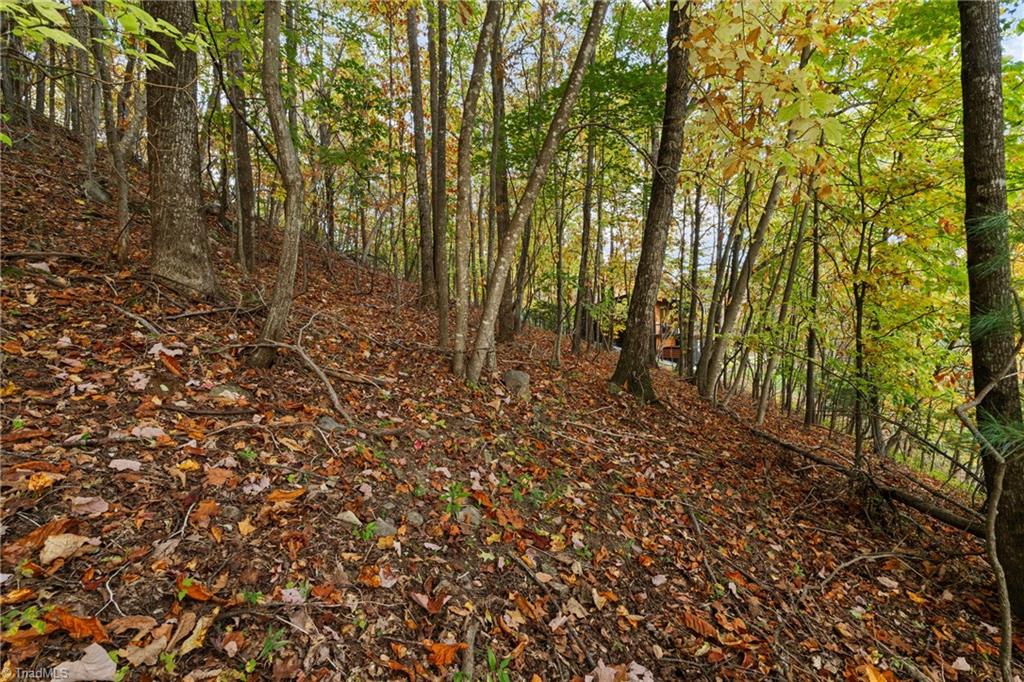 Lot 13 Ivy Ridge Road Deep Gap, NC 28618 - Photo 4 of 15 Gallery Image 4