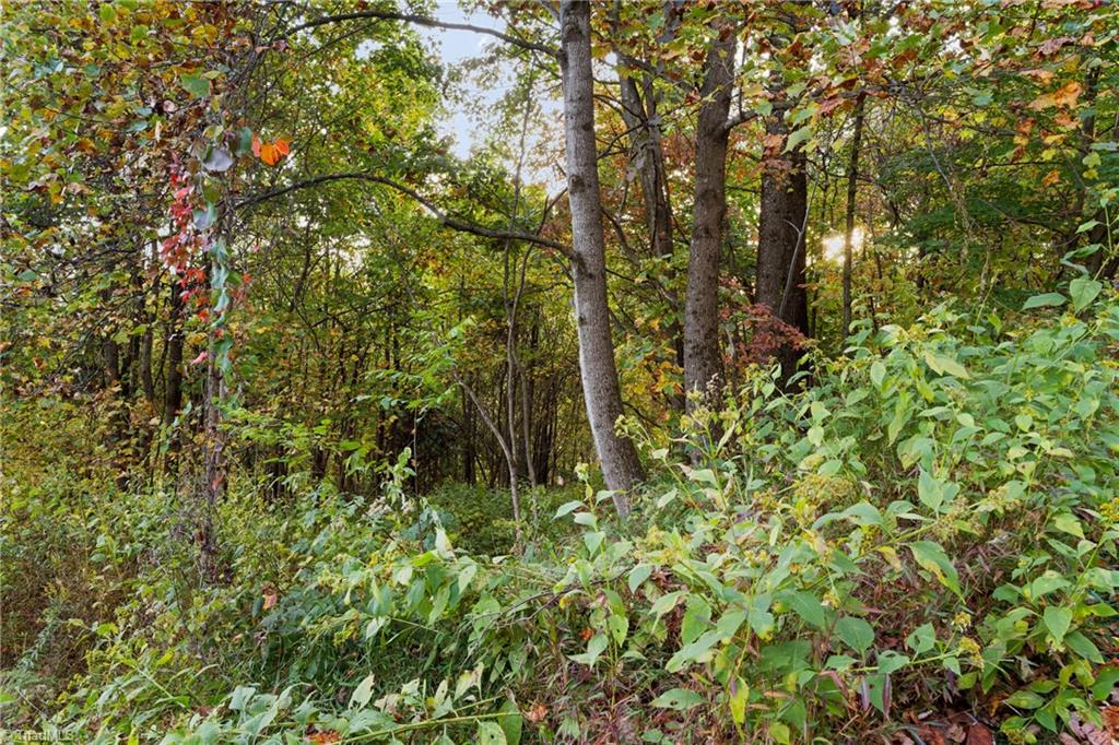 Lot 13 Ivy Ridge Road Deep Gap, NC 28618 - Photo 5 of 15 Gallery Image 5