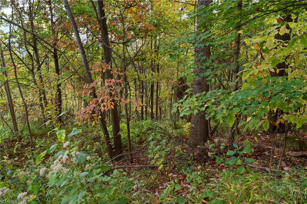 Lot 13 Ivy Ridge Road Deep Gap, NC 28618 - Photo 6 of 15 Gallery Image 6