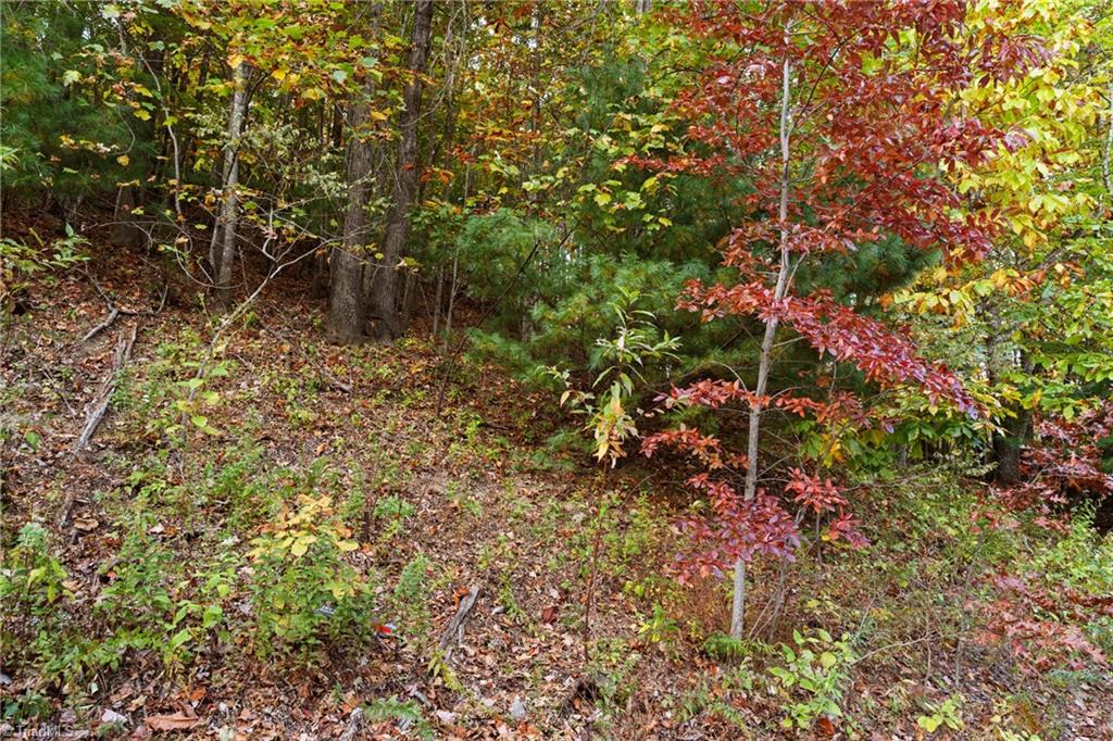 Lot 13 Ivy Ridge Road Deep Gap, NC 28618 - Photo 7 of 15 Gallery Image 7